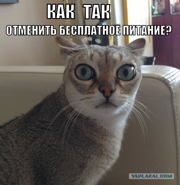 Яценюк согласился на кабальные условия МВФ