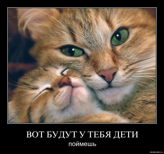 Эпическое полотно "Тест на беременность"