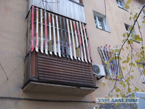 Забор школьного завхоза
