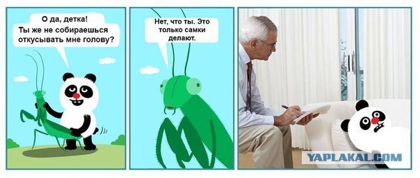 Подборка смешных комментариев.