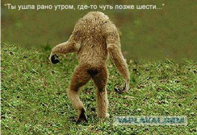 Смешное из сети #2