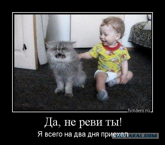Подборка демотиваторов