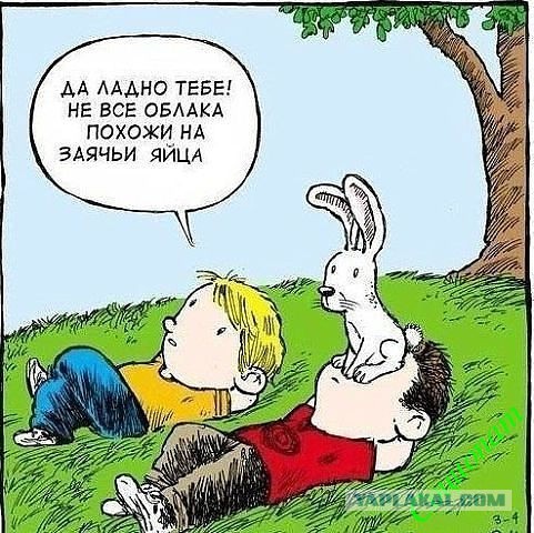 Немного картинок и юмора