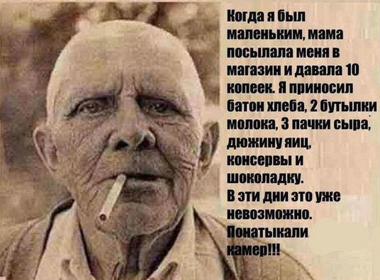 Поймали кошку с поличным