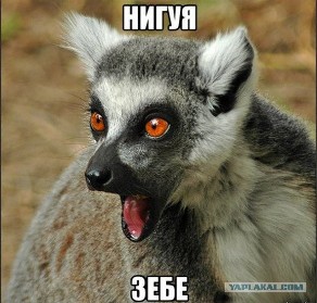Стильно. модно. молодежно