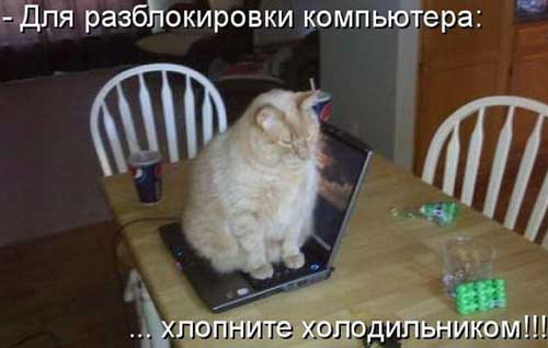 Традиционная пятничная подборка ВК