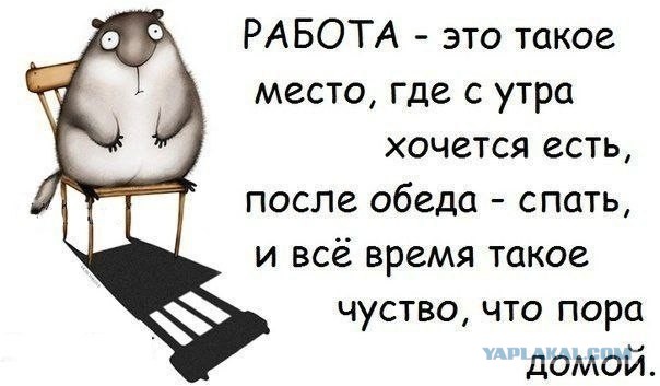 Веселости