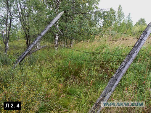 Километры колючей проволоки: граница Украины с РФ