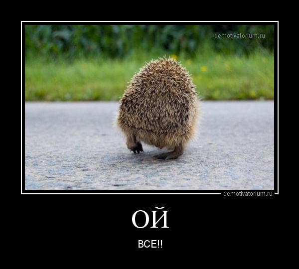 Подборка веселых картинок