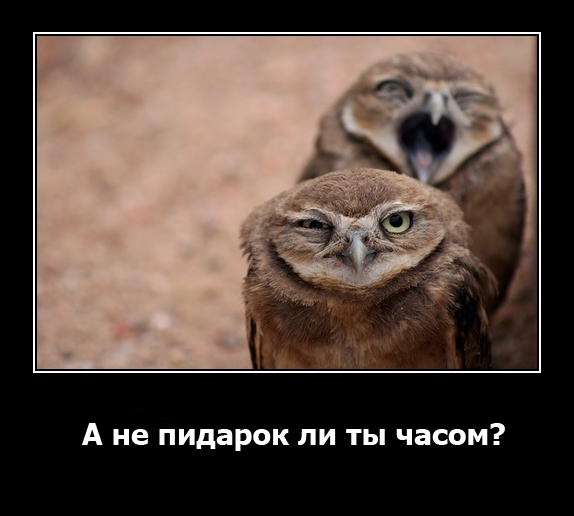 Чайлдфри, "секс в СССР" и прочее