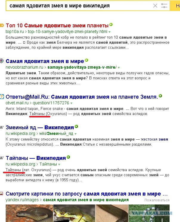 10 самых опасных змей в мире