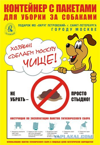 Разруха в головах