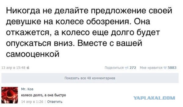 Просто 20 картинок из интернета...