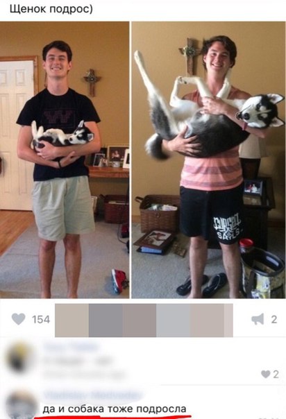 Ужасы и приколы из соцсетей 18+