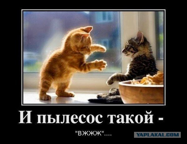 Смешные СМС и комменты на пятницу
