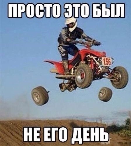 Весёлые картинки
