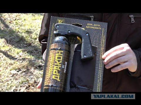 Не бойся она не укусит