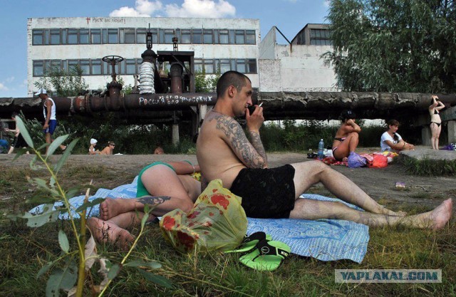 Ужасы и приколы из соцсетей 18+