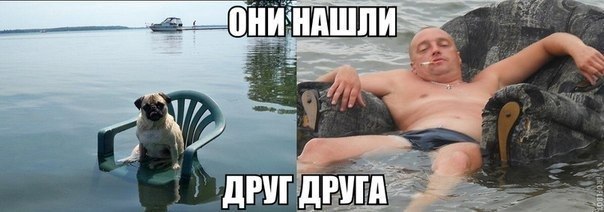 Смешные картинки из сети на 26.10.16