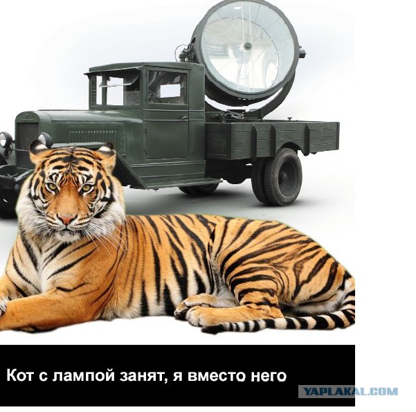 Сколько нужно трахнуть женщин, чтобы найти свой идеал?
