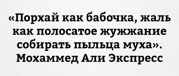 12 советов новорегу