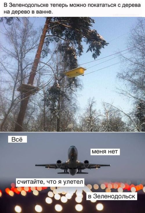 Весёлые и прикольные картинки