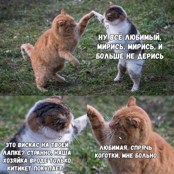 Приколы в стиле "регресс"