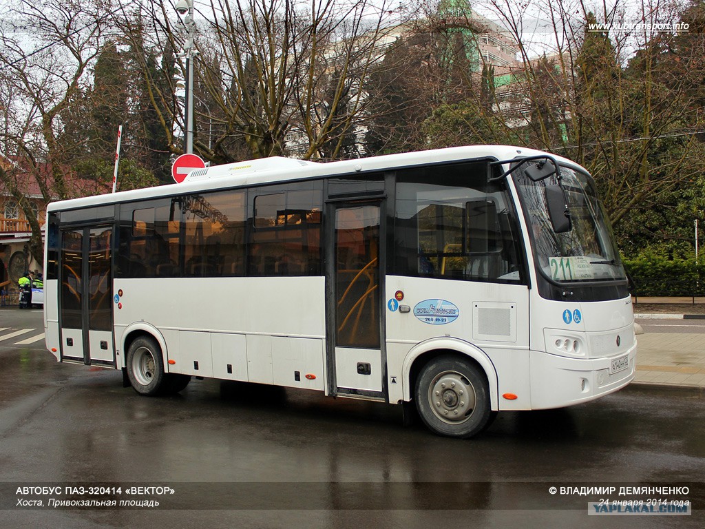 Купить Автобус Паз Вектор Бу