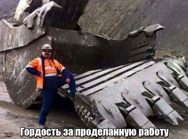 Подборка интересных и веселых картинок