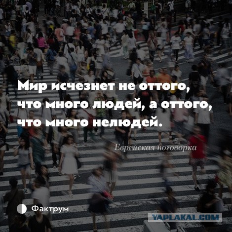 В Ростовской области на заводе-банкроте раздавили индеек бульдозером. Предприятие назвало ролик «постановочным»