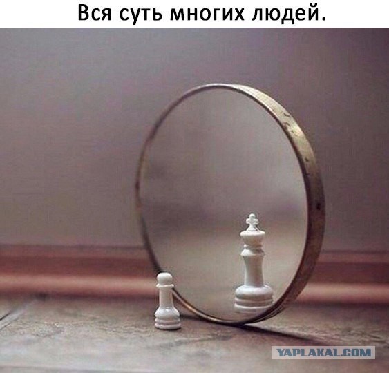 Свинегрет: картинки, надписи и прочее 29.01.20