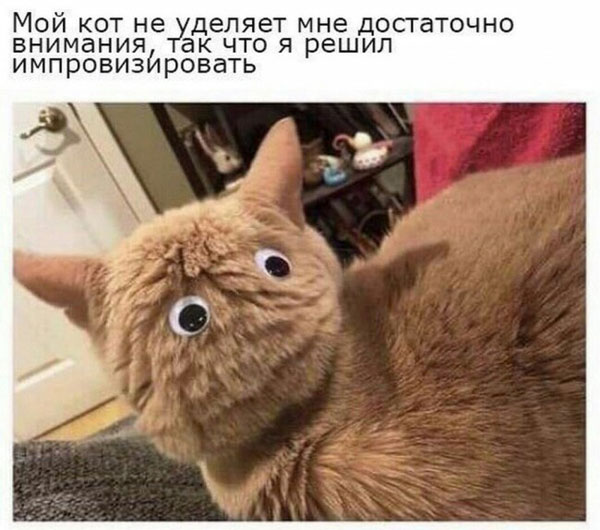Так себе картинки 13.06.20