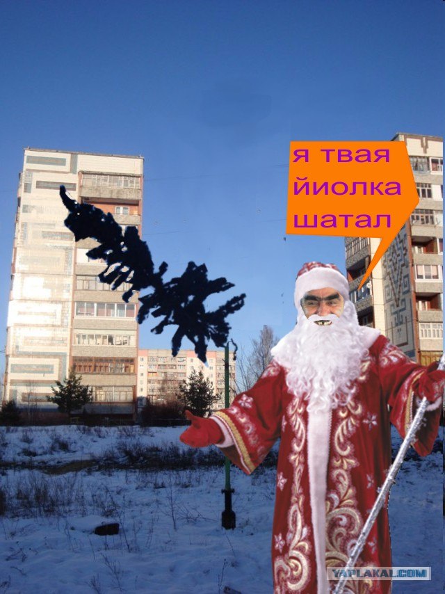 У нас в городе поставили ЙОЛКУ