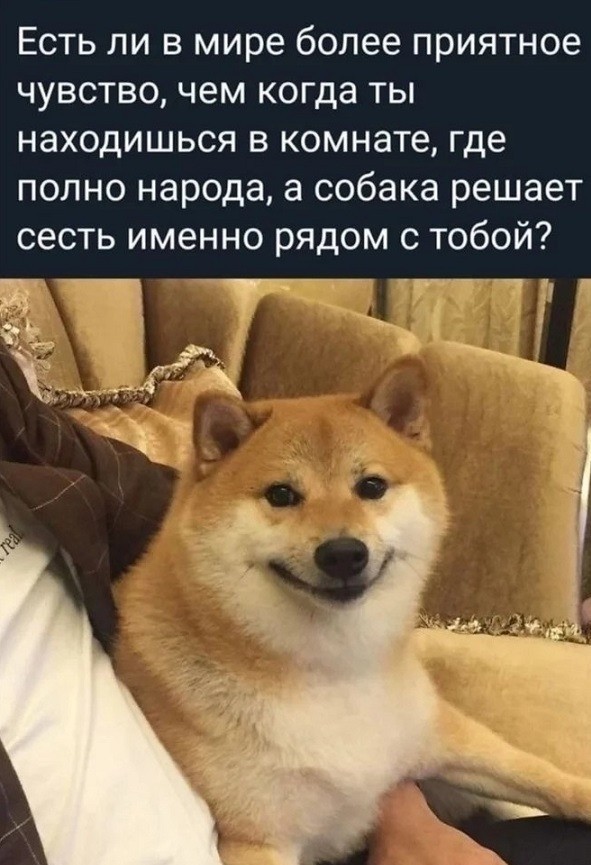 Кретинизмы из сети Night Edition 9.02.21