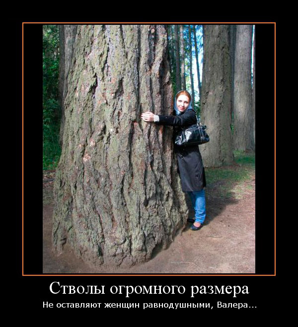 Девушка и дерево