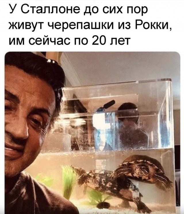 Всякие разные картинки 14.07.21