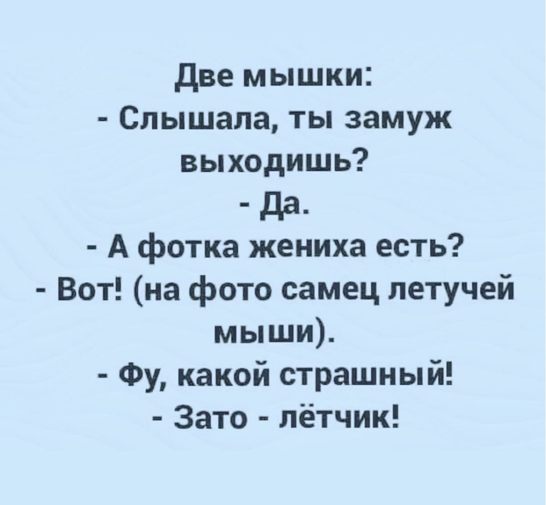 16017337.jpg