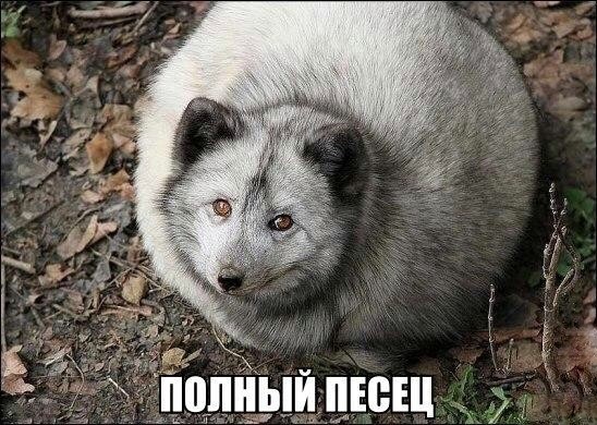 Так себе картинки 05.04.22