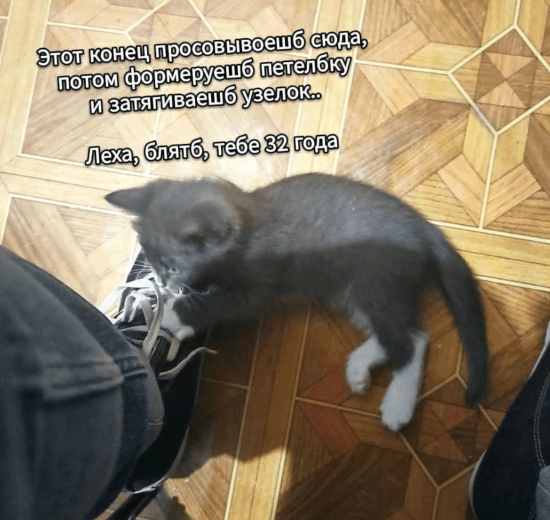Средненедельная деградация
