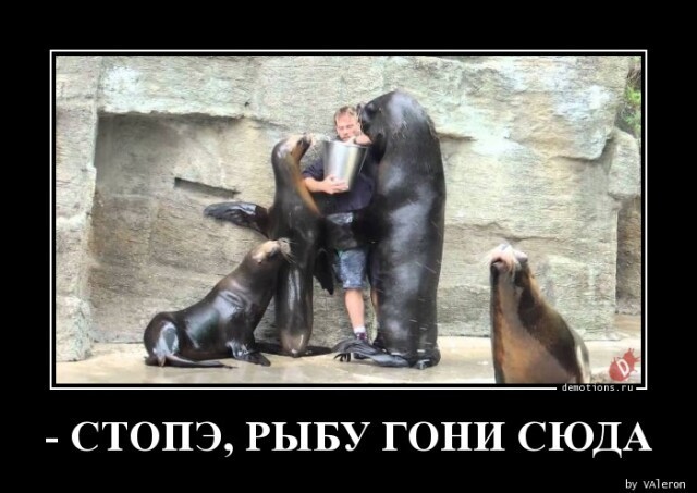 Картинки с надписями 21.08.22