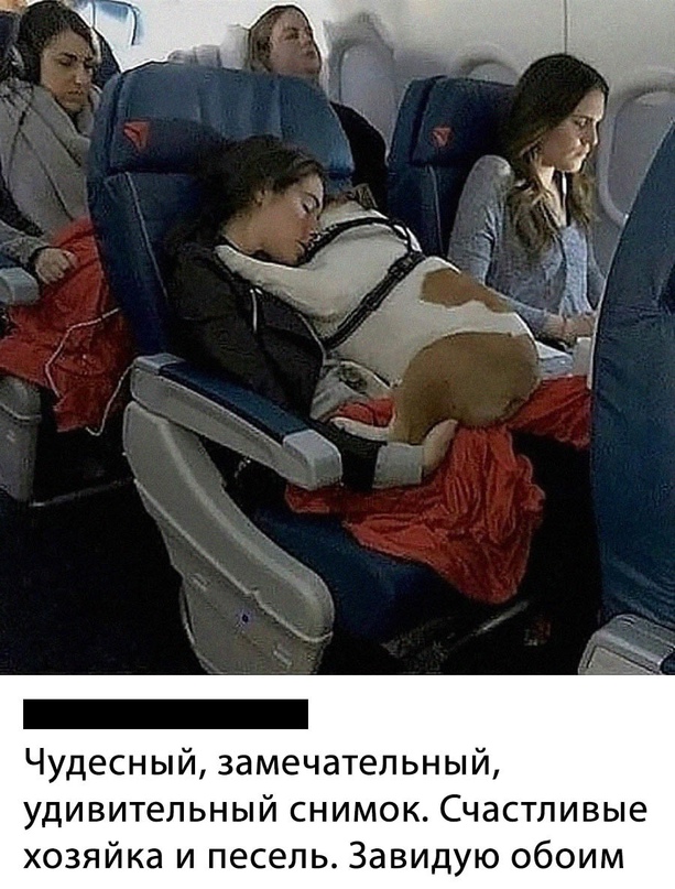 Картинки и мемы для настроения - 111