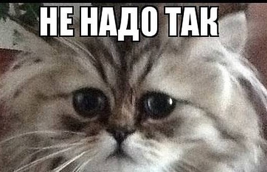 Кажется, что-то пошло не так