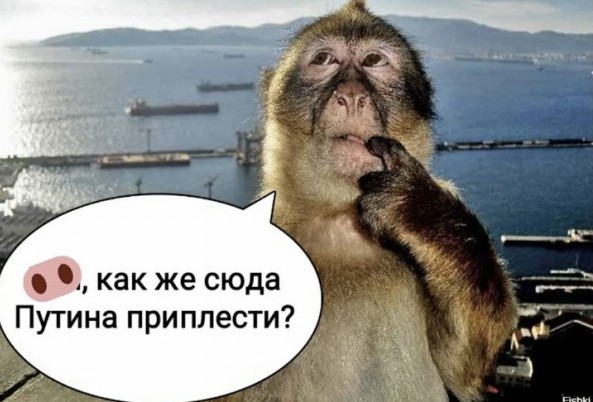 Как в СССР встречали аномально холодный Новый 1979 год: Праздник, который стал катастрофой