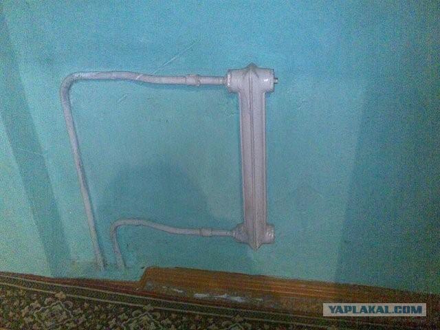 Приколы из Казахстана