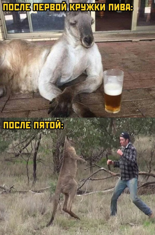 Картинки и мемы, это май-чародей всяко разно - 177
