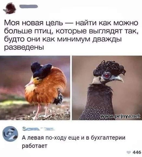 Пятничные веселые буквы