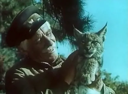 Чеши меня и не останавливайся