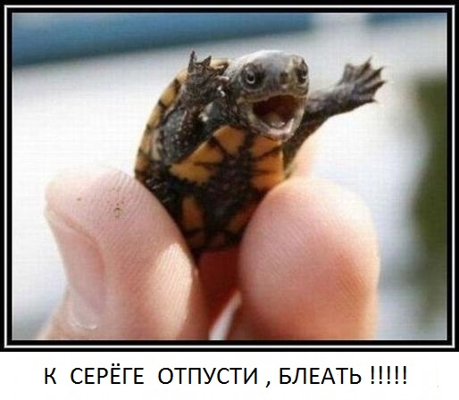 Отпусти к Сереге водки попить!