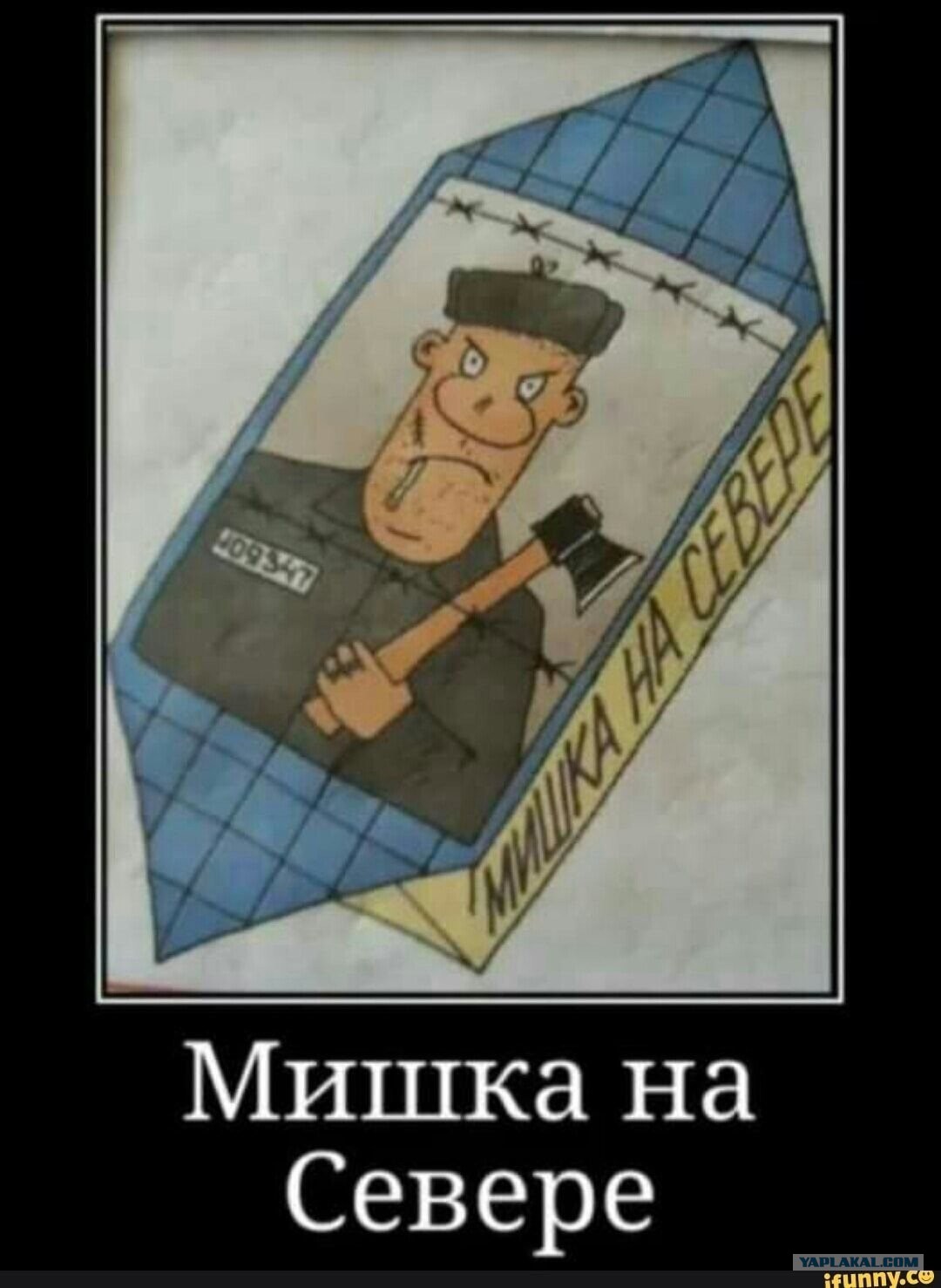 Мишка на севере