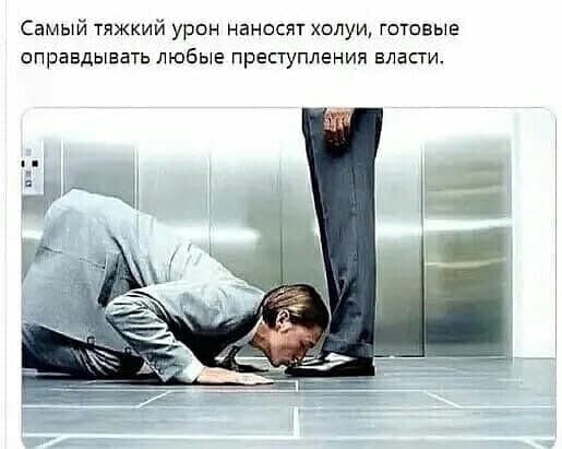 Ахмат, Эли и Адам Кадыровы награждены орденом «Даймехкан Сий»